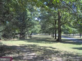 1695 Morgantown Road Reading, PA 19607 - Photo 5 of 6 Gallery Image 5