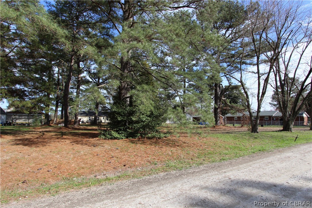 0 Eagle Road Hayes, VA 23072 - Photo 3 of 5