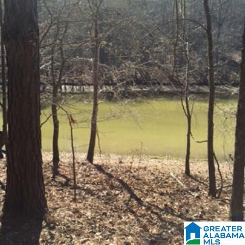338 Davis Acres Drive, Unit 1 Alpine, AL 35014 - Photo 10 of 19