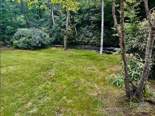 7810 Little Snowbird Road Robbinsville, NC 28771 - Photo 46 of 48