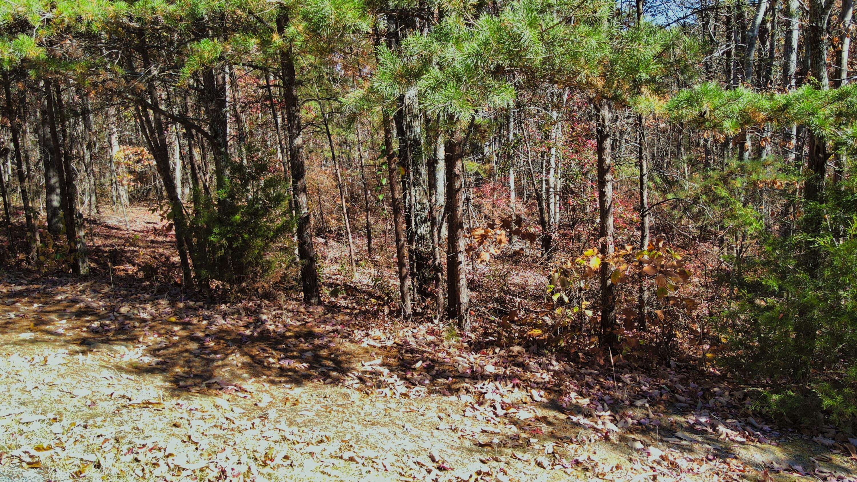 0 Stewart North Lane Rising Fawn, GA 30738 - Photo 6 of 14 DJI_0221
