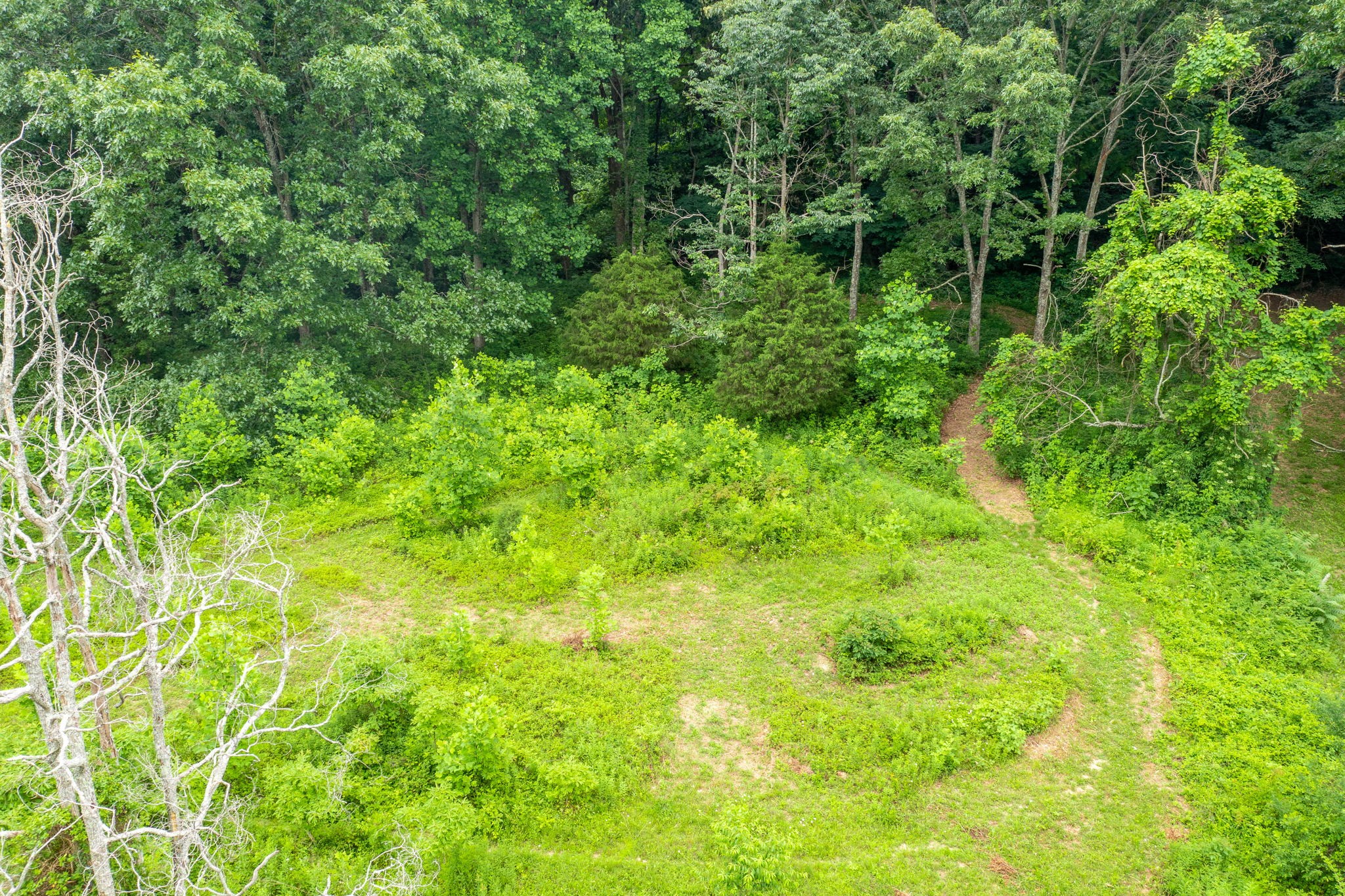 7803 Covington Road White House, TN 37188 - Photo 54 of 55