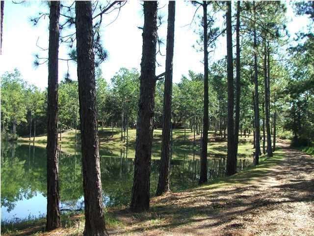 11-ac James Kennedy Road Crestview, FL 32539 - Photo 5 of 8 20140715211108300055000000-o