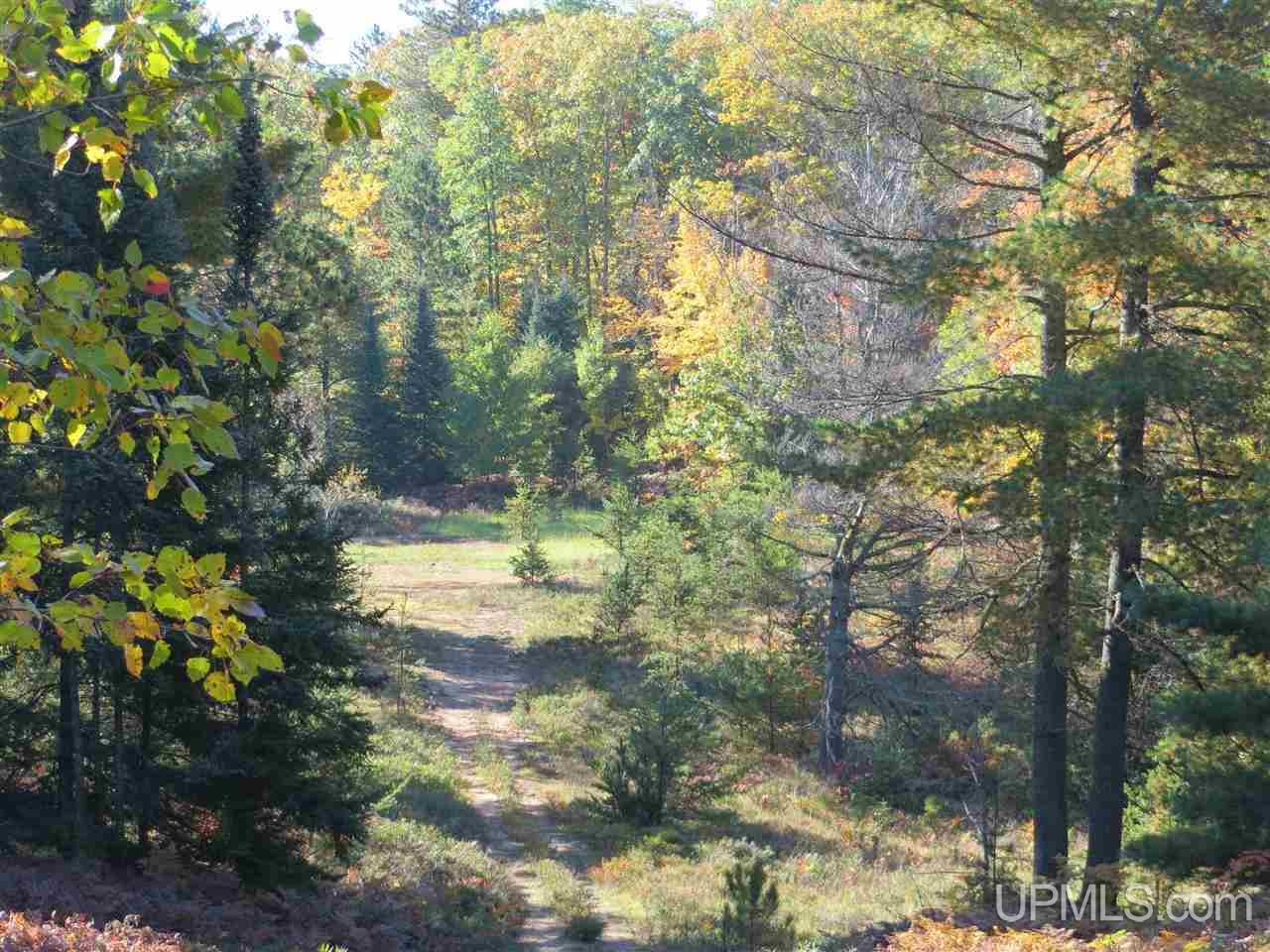 Tbd Co Rd Ff Republic, MI 49879 - Photo 2 of 29
