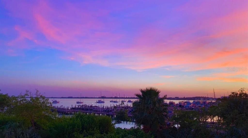 37 Harbour Isle Drive East, Unit 206 Fort Pierce, FL 34949 - Photo 36 of 37