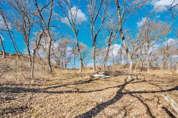 a view of a backyard of the house