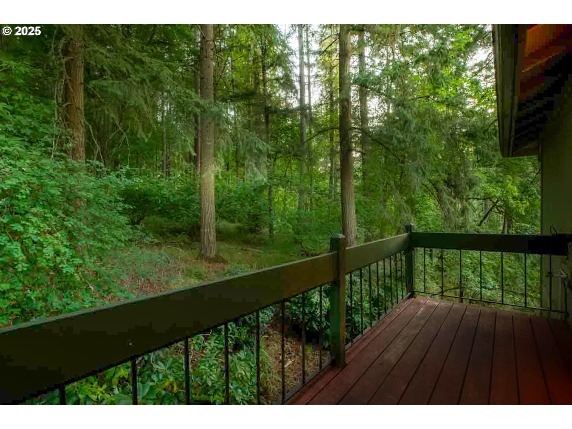 202 Foxtail Drive Eugene, OR 97405 - Photo 16 of 35