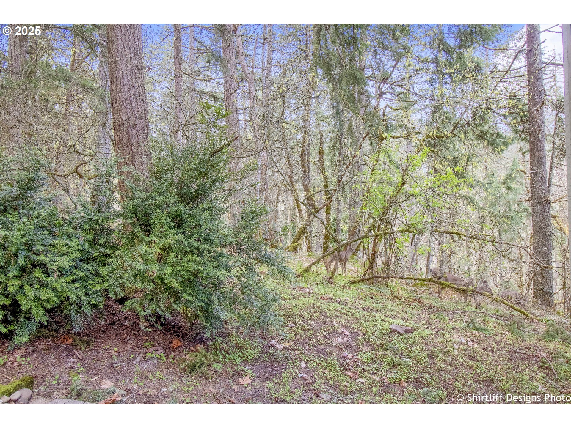 202 Foxtail Drive Eugene, OR 97405 - Photo 24 of 35