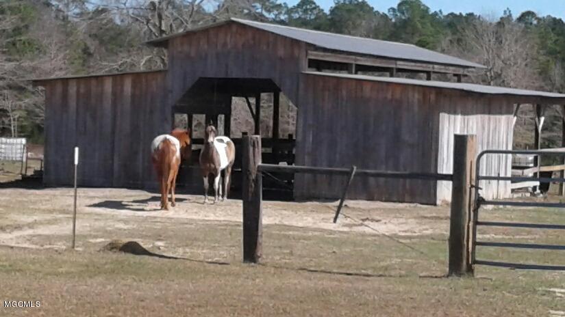 20400 Farm Road Vancleave, MS 39565 - Photo 2 of 44 20170307_162630