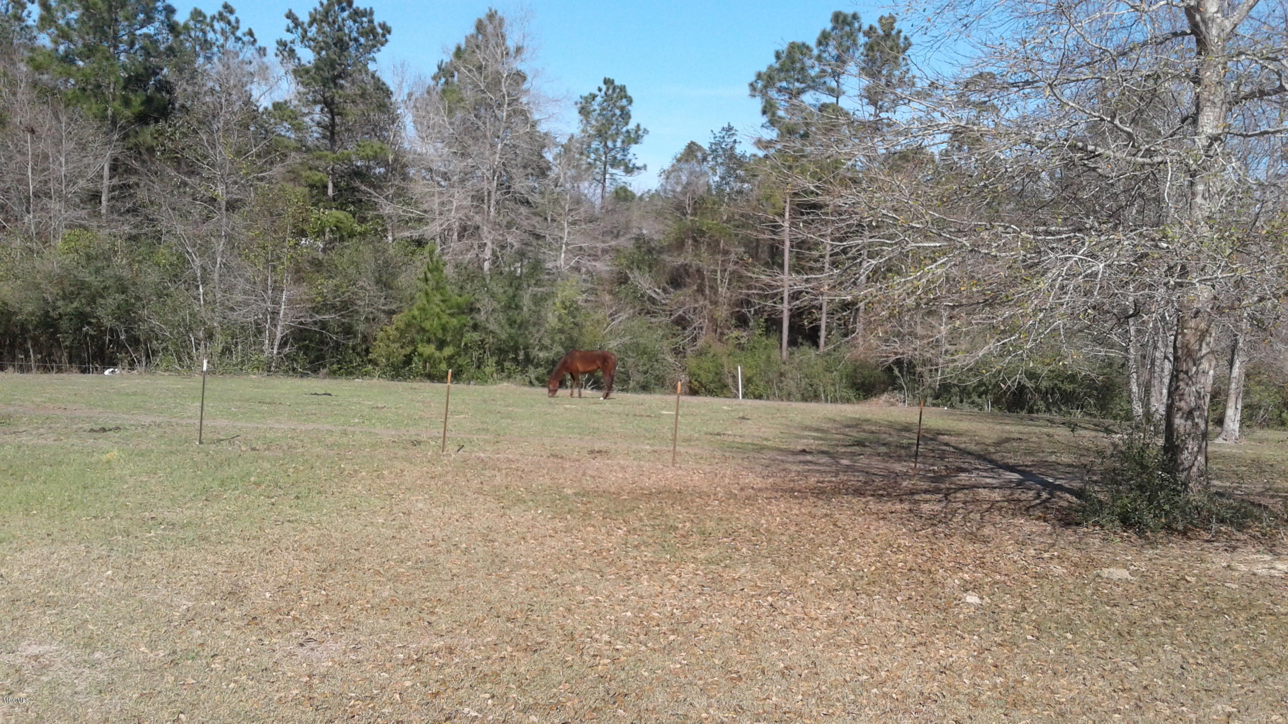 20400 Farm Road Vancleave, MS 39565 - Photo 37 of 44 20170204_111731