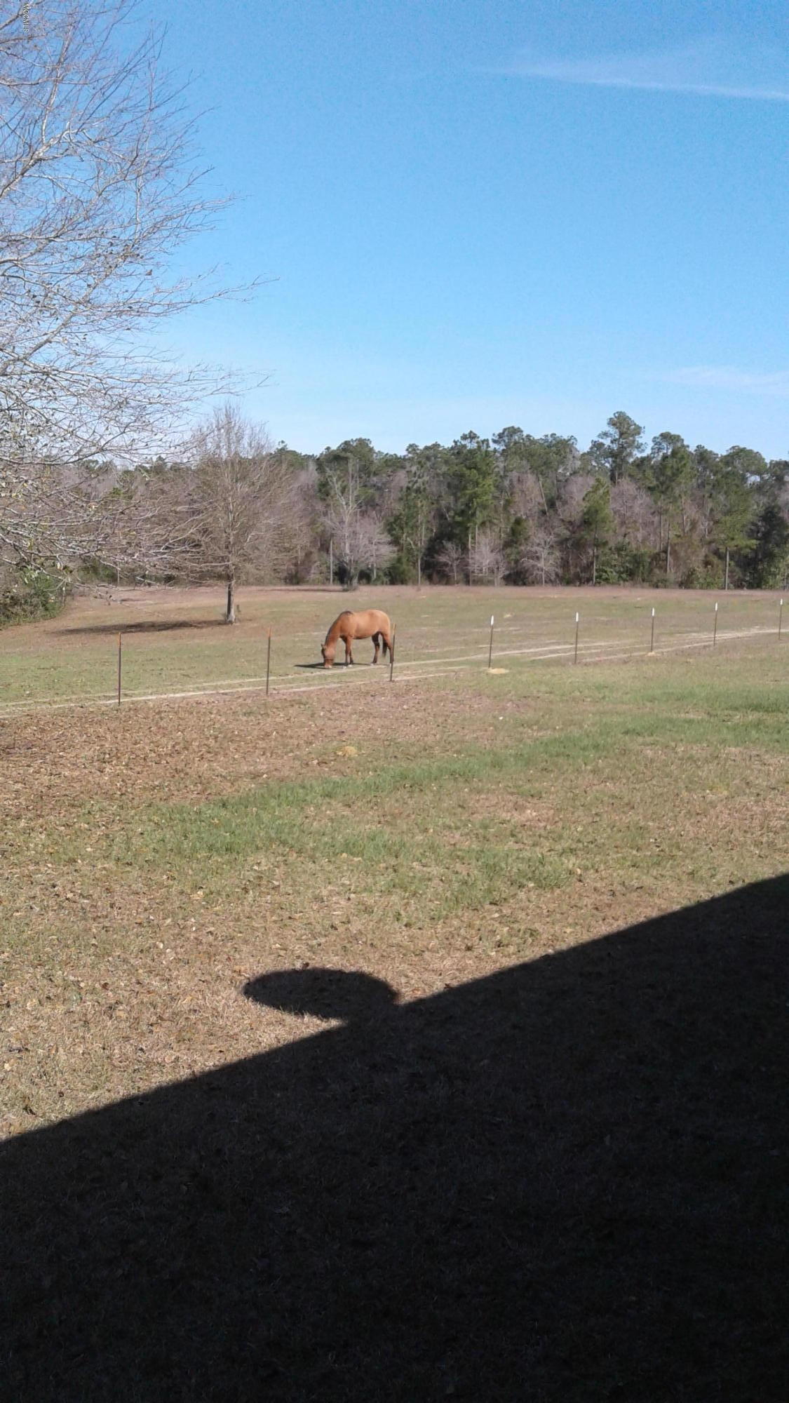 20400 Farm Road Vancleave, MS 39565 - Photo 38 of 44 20170204_111720