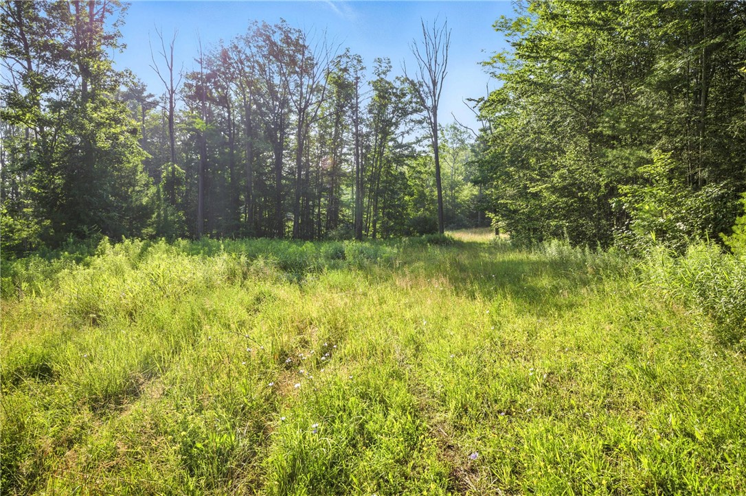 Davis Road Corning, NY 14830 - Photo 14 of 15