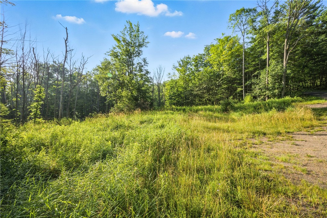 Davis Road Corning, NY 14830 - Photo 15 of 15