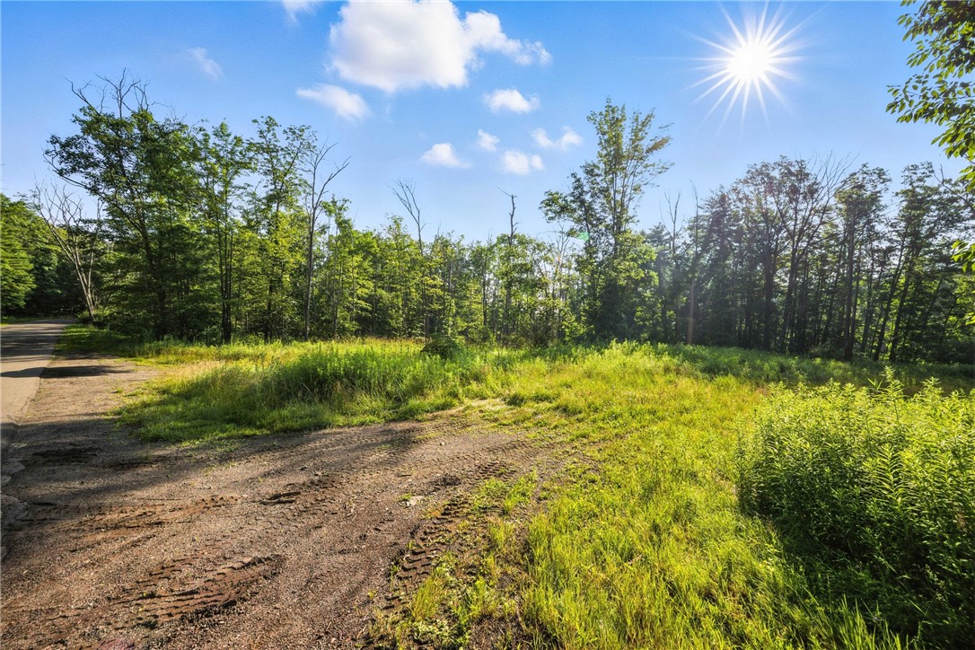 Davis Road Corning, NY 14830 - Photo 2 of 15