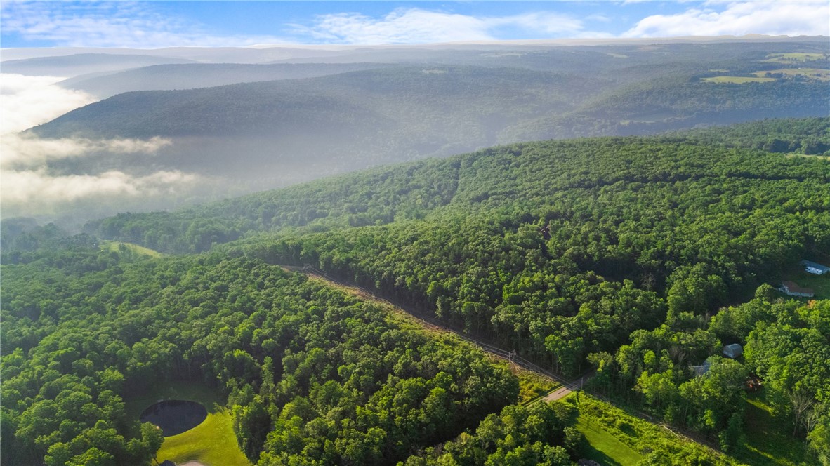 Davis Road Corning, NY 14830 - Photo 5 of 15