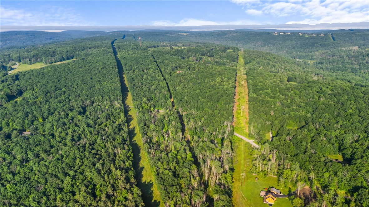 Davis Road Corning, NY 14830 - Photo 7 of 15