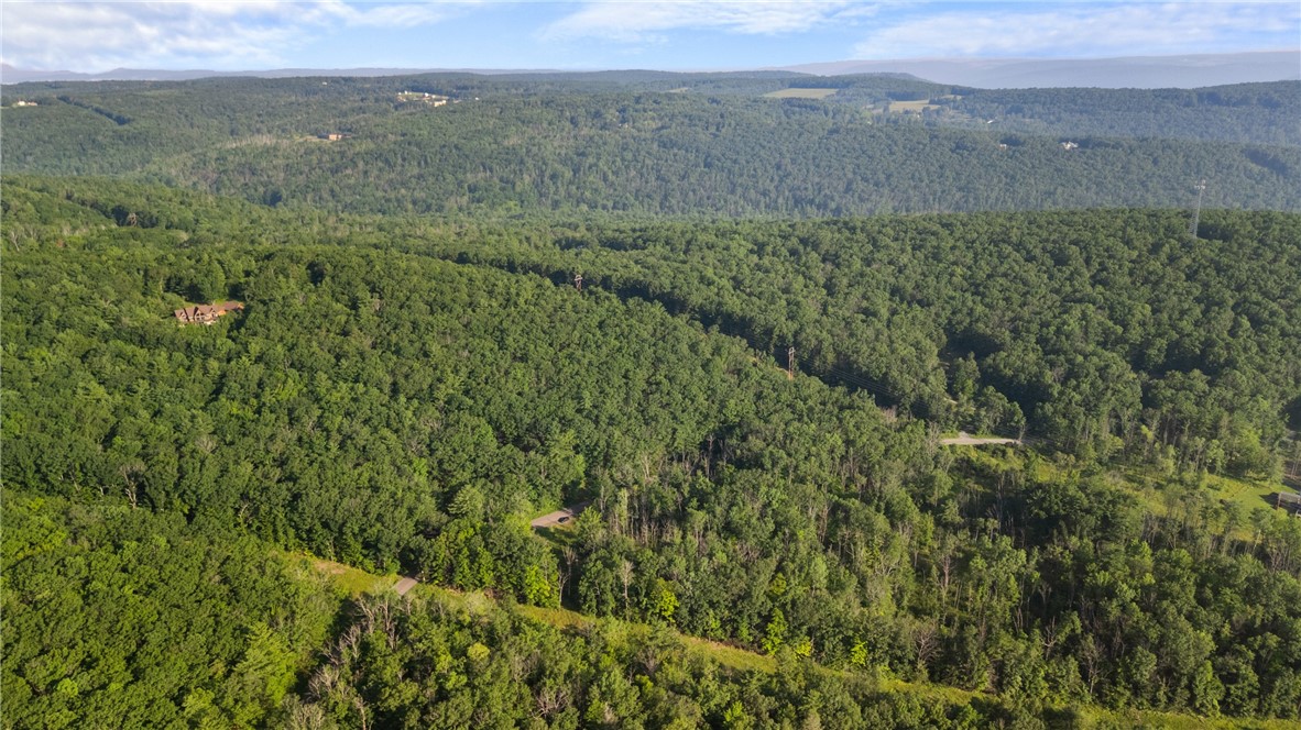 Davis Road Corning, NY 14830 - Photo 8 of 15