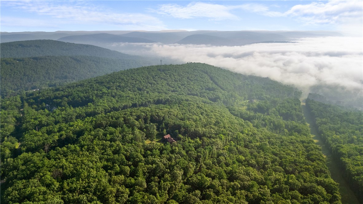 Davis Road Corning, NY 14830 - Photo 9 of 15