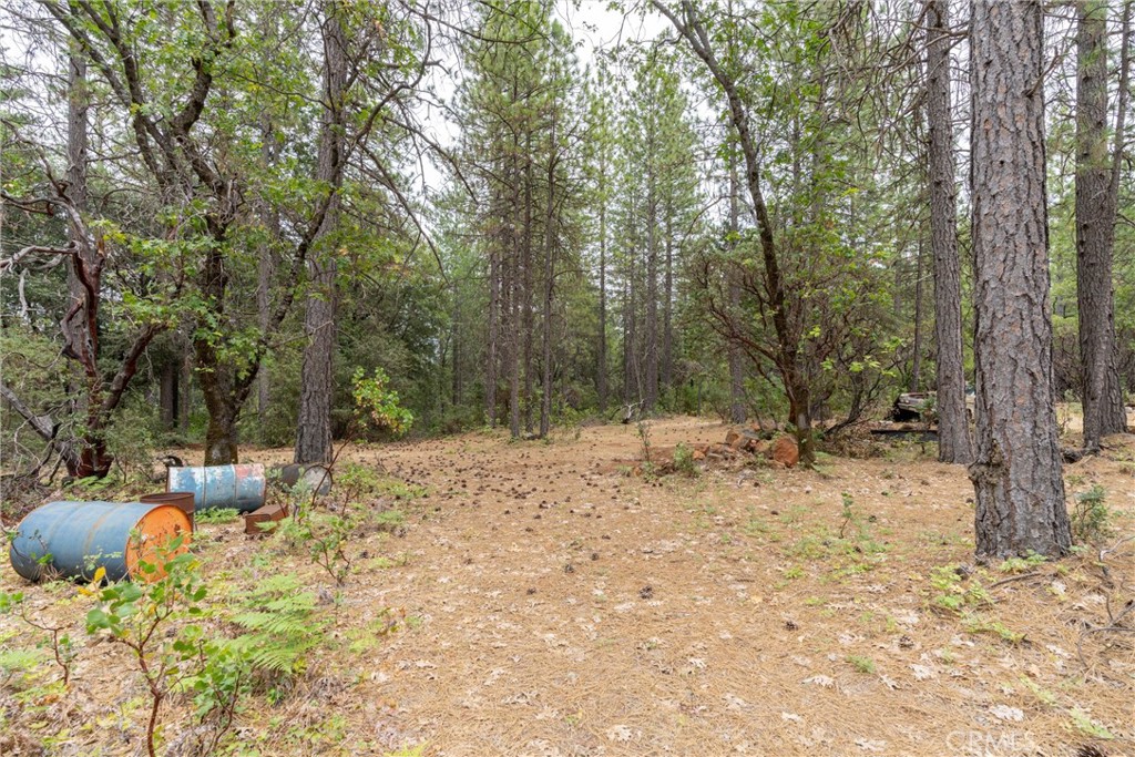 15184 Siwini Road Forest Ranch, CA 95942 - Photo 32 of 75