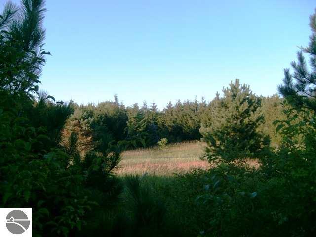 1781 Tyler Road Southeast Kalkaska, MI 49646 - Photo 14 of 25 1729140-13.JPG