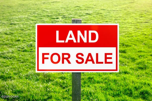 4785 County Lane 55 Reeds, MO 64859 - Photo 1 of 1 land for sale