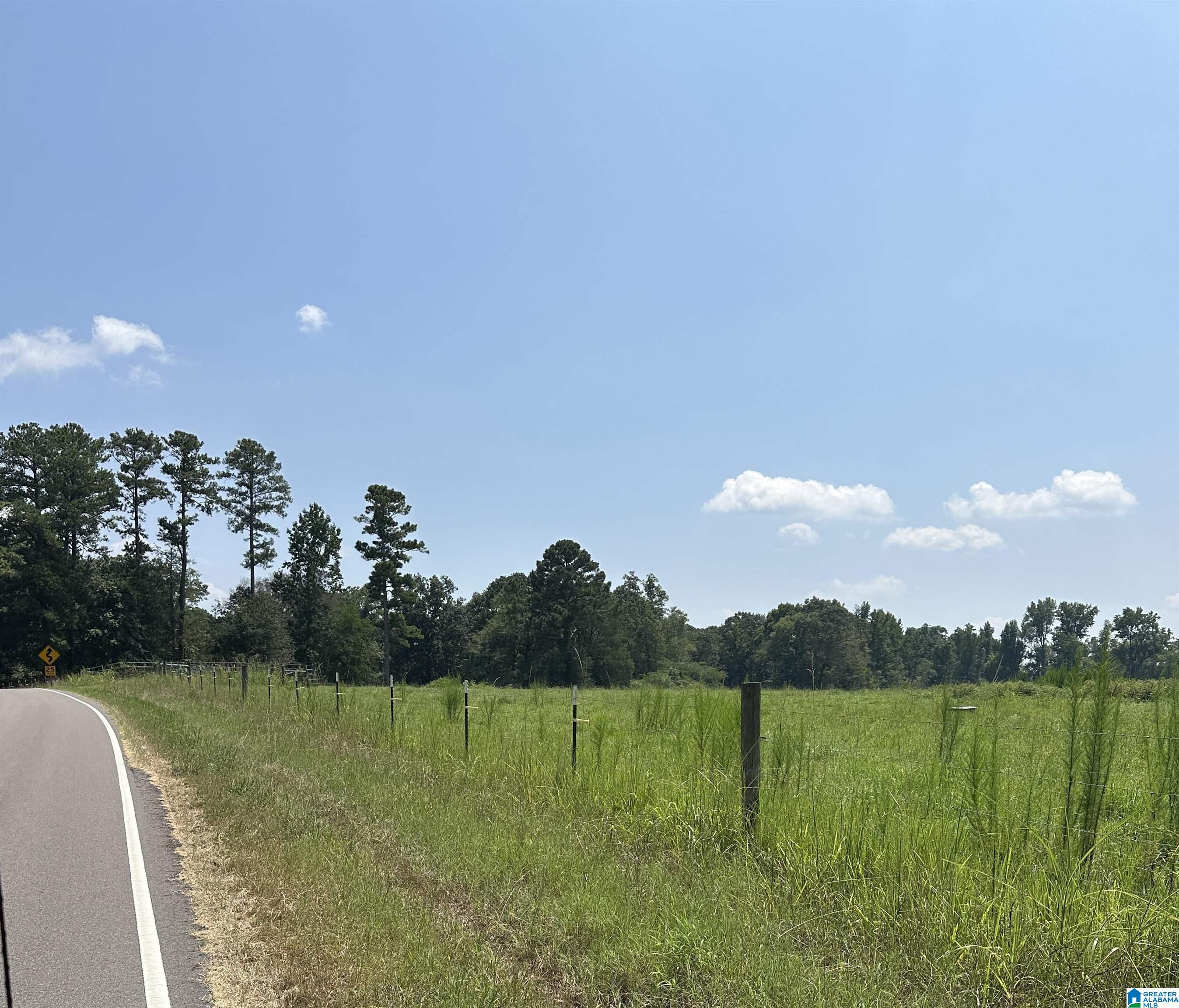 9500 Cato Road, Unit 1 Warrior, AL 35180 - Photo 5 of 6
