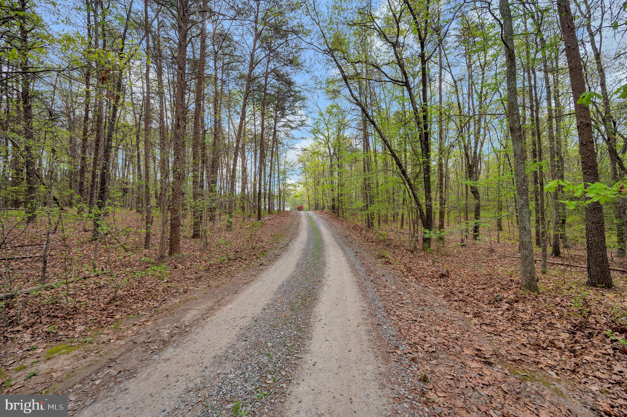 11326 Wheeler Road Spotsylvania, VA 22551 - Photo 47 of 55