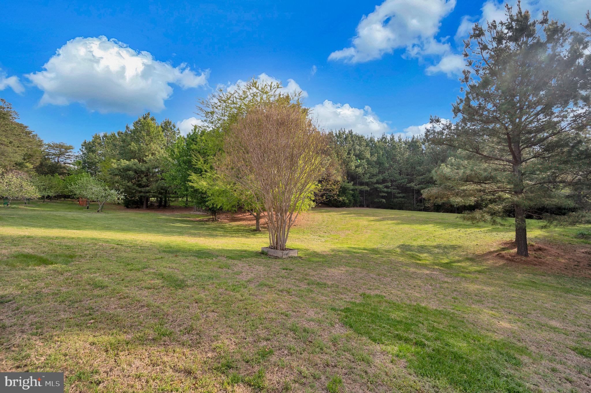 11326 Wheeler Road Spotsylvania, VA 22551 - Photo 48 of 55