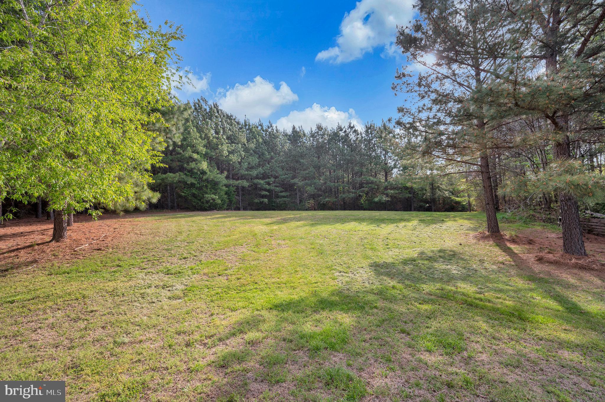 11326 Wheeler Road Spotsylvania, VA 22551 - Photo 49 of 55