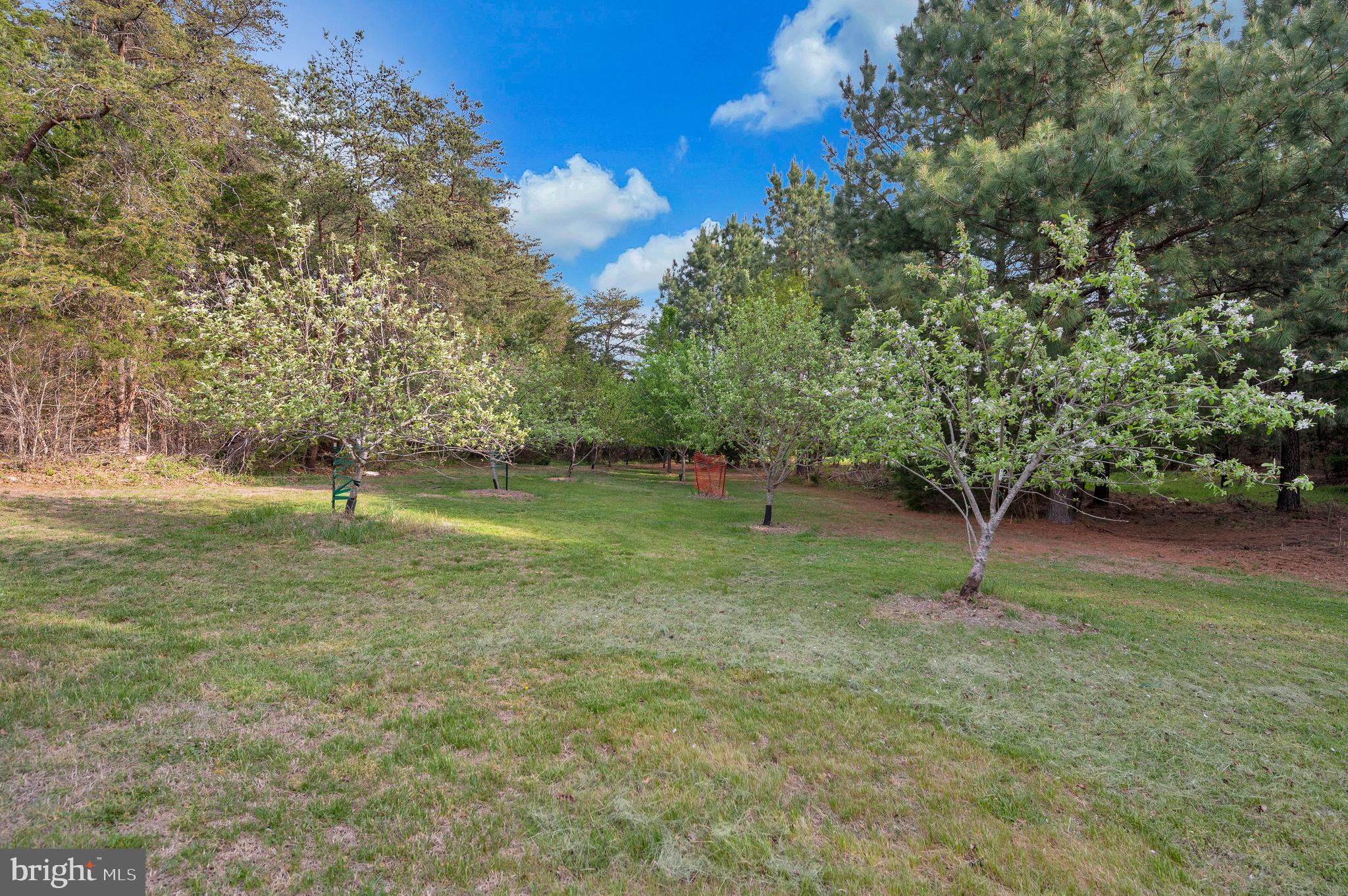 11326 Wheeler Road Spotsylvania, VA 22551 - Photo 51 of 55