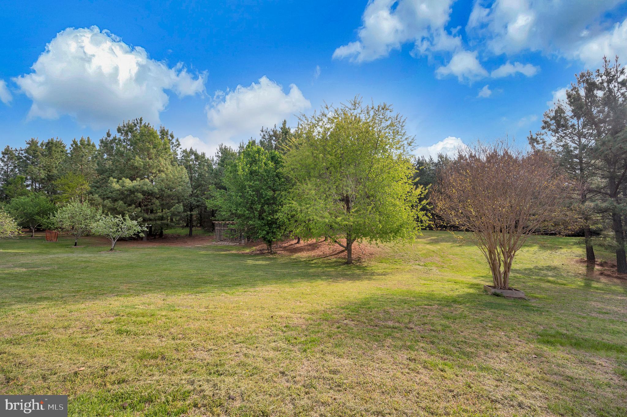 11326 Wheeler Road Spotsylvania, VA 22551 - Photo 52 of 55