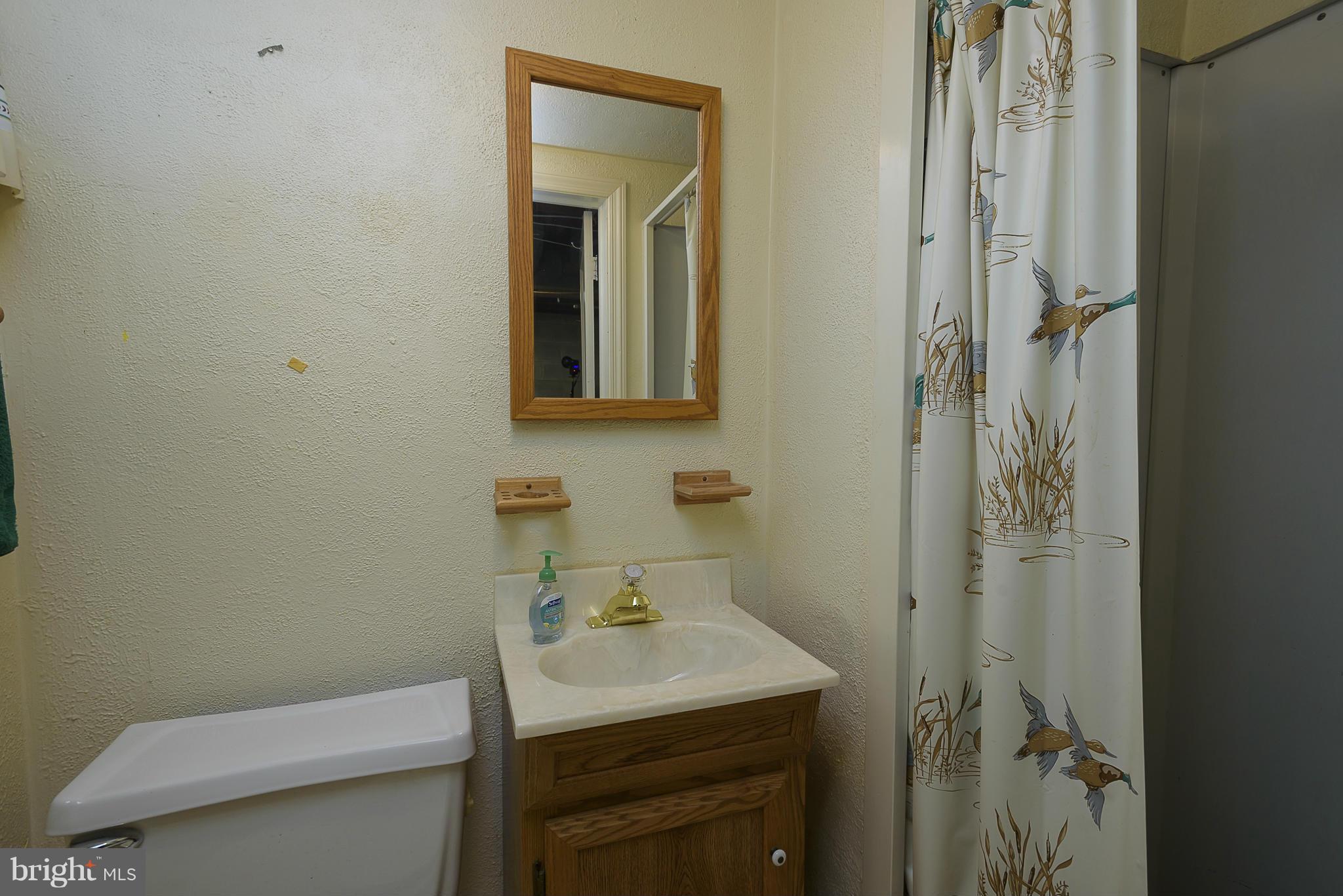 323 Whitfield Road Catonsville, MD 21228 - Photo 14 of 30 Bath