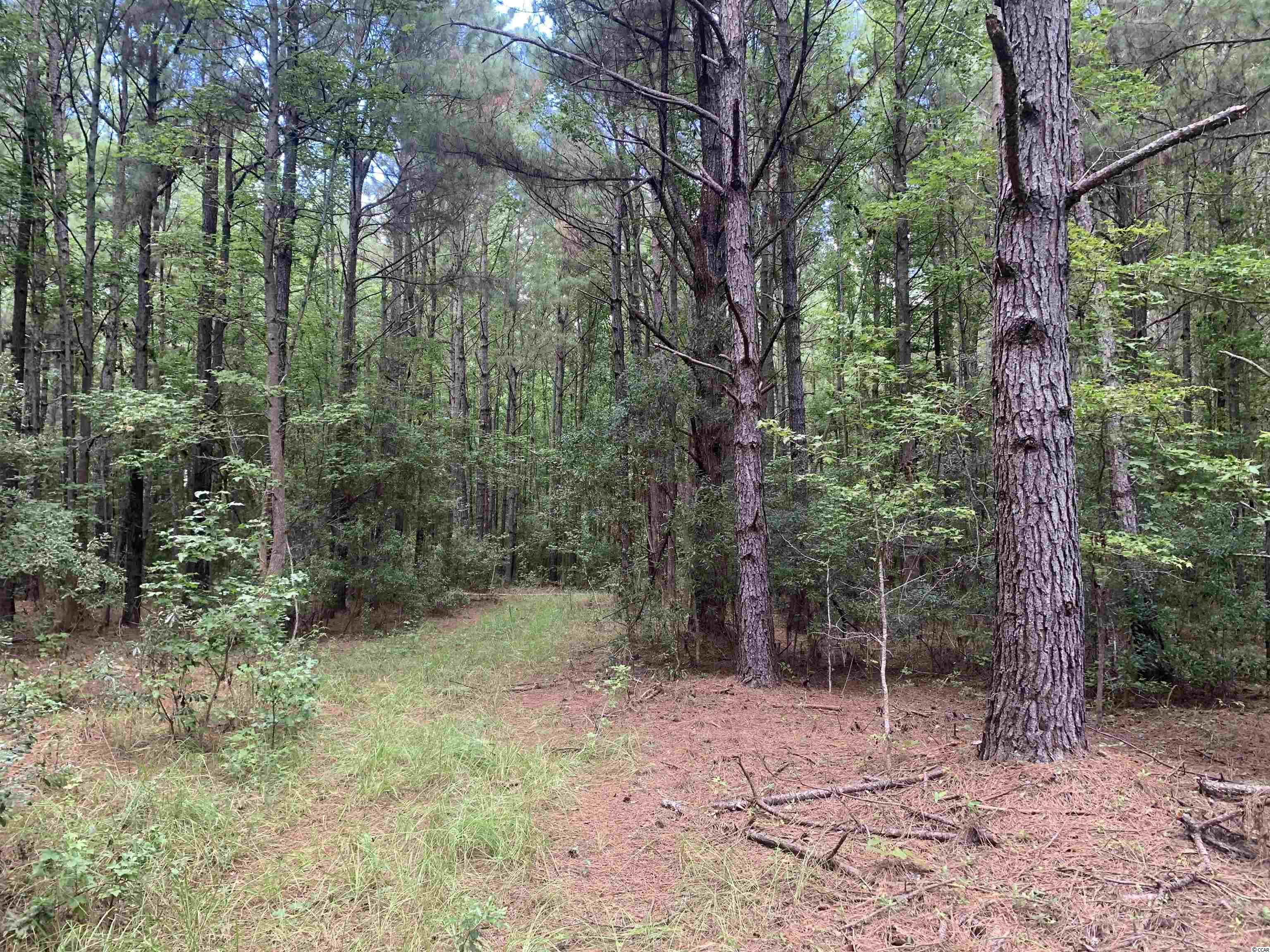 Tbt Union Church Road Salters, SC 29590 - Photo 1 of 8 Gallery Image 1