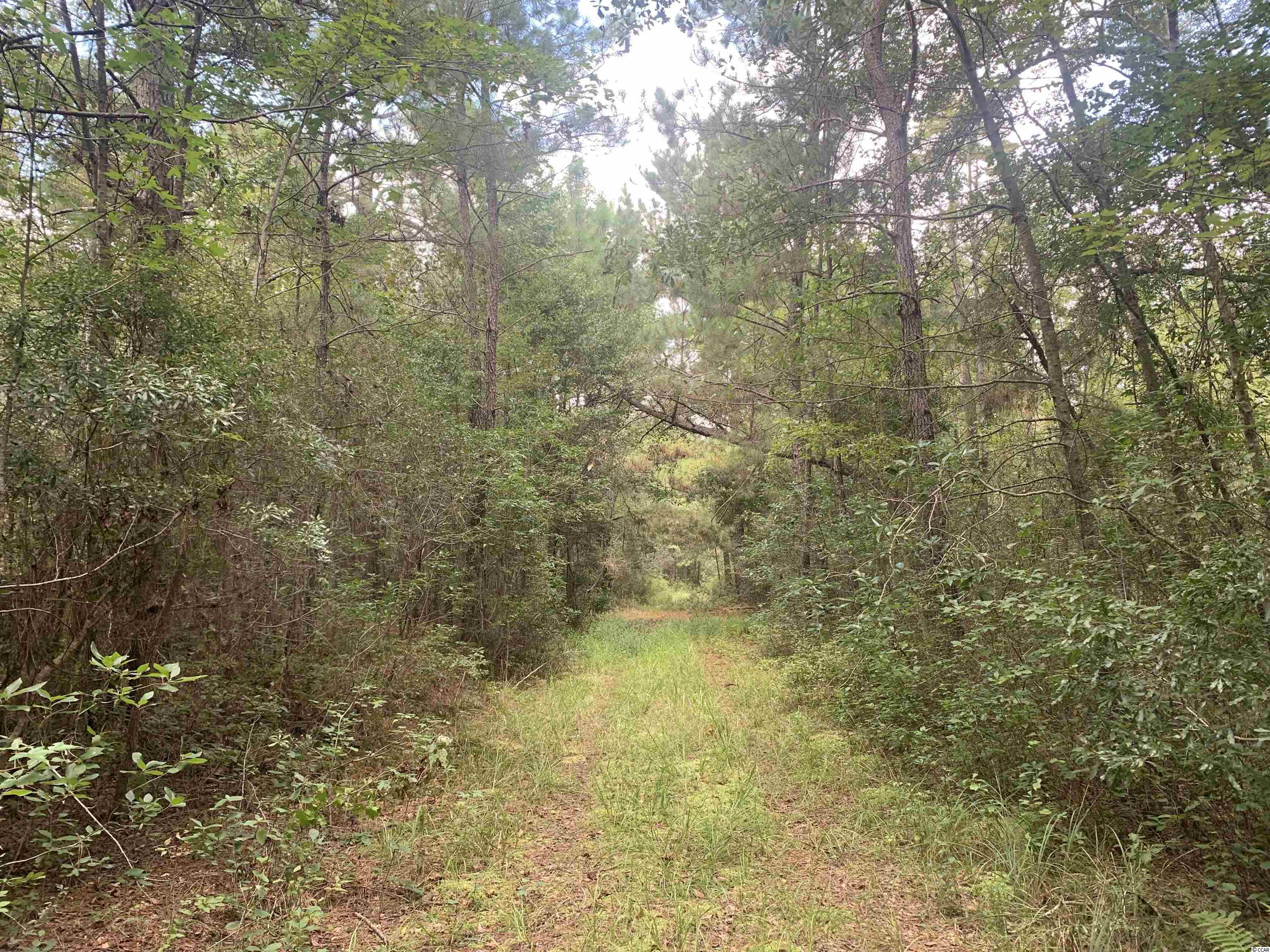 Tbt Union Church Road Salters, SC 29590 - Photo 3 of 8 Gallery Image 3