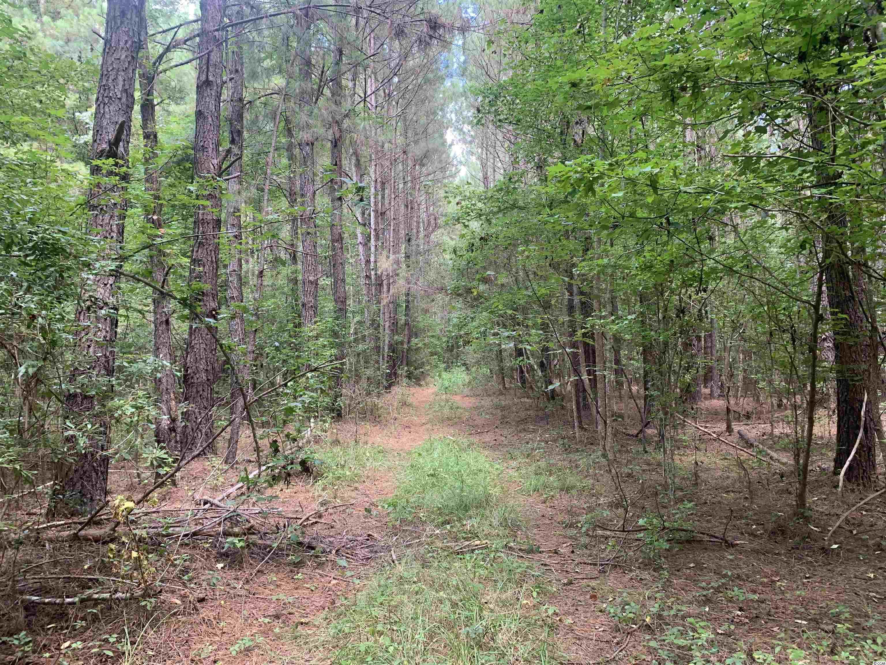 Tbt Union Church Road Salters, SC 29590 - Photo 6 of 8 Gallery Image 6