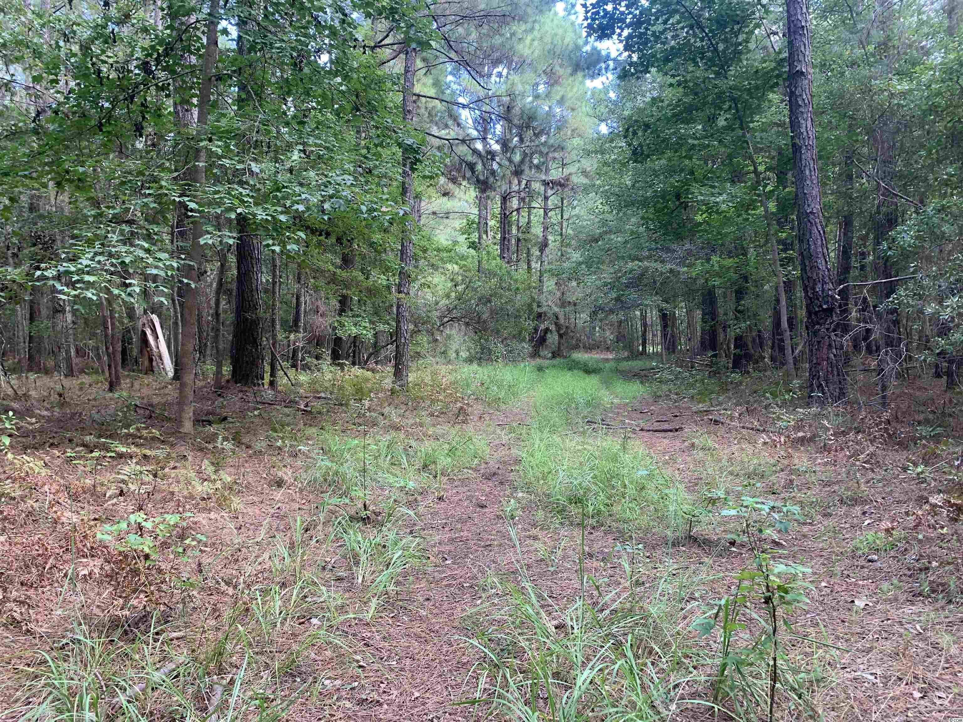Tbt Union Church Road Salters, SC 29590 - Photo 7 of 8 Gallery Image 7