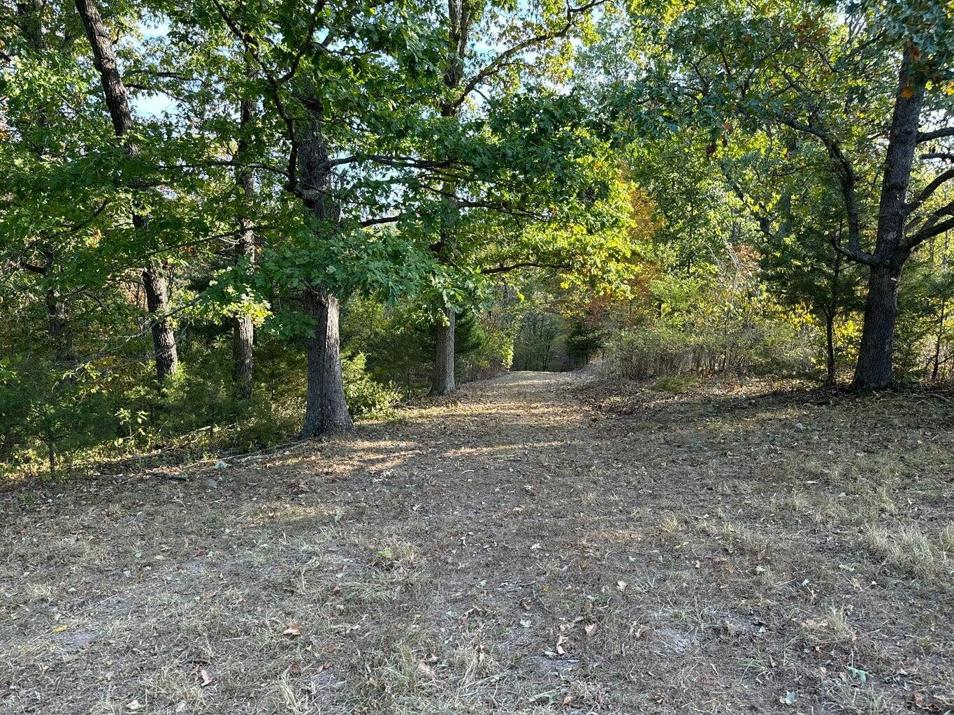 615 Thomas Hollow Road Exeter, MO 65647 - Photo 7 of 82 top of hill to open la