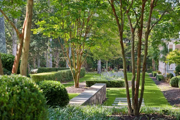 a view of a park with large trees