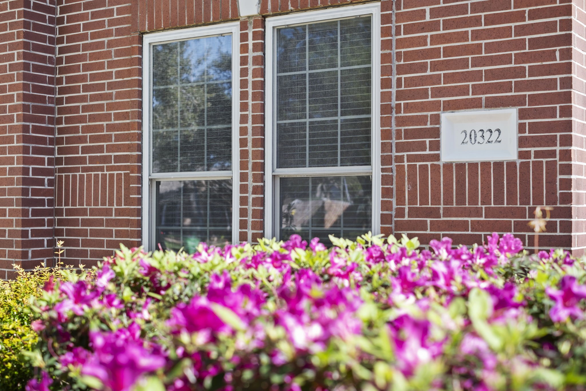 20322 Cembra Walk Spring, TX 77379 - Photo 35 of 38