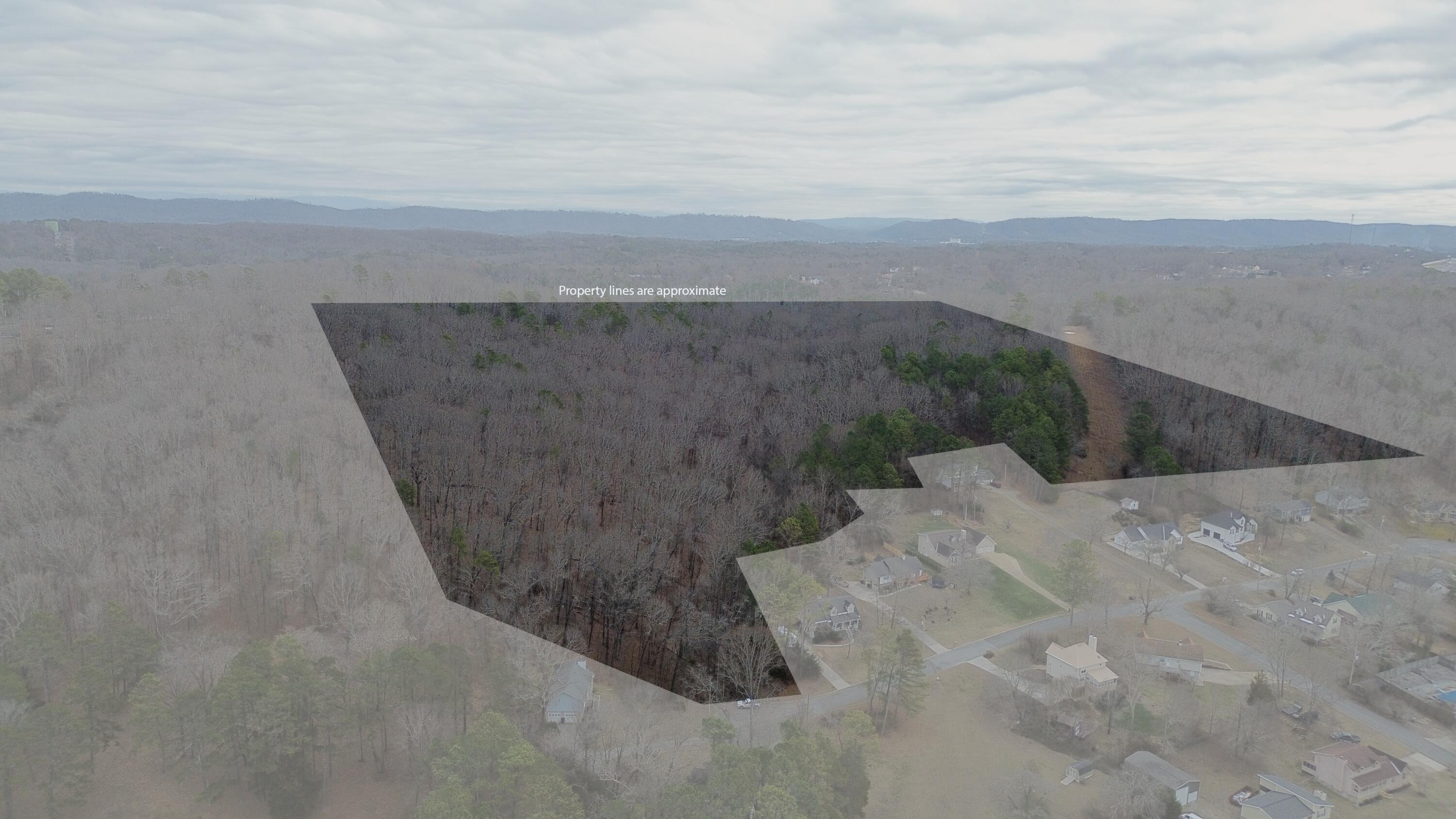 0 Robert Drive Ringgold, GA 30736 - Photo 1 of 11 FB54B7C2-57A7-4574-B9C8-5046C63CD71D