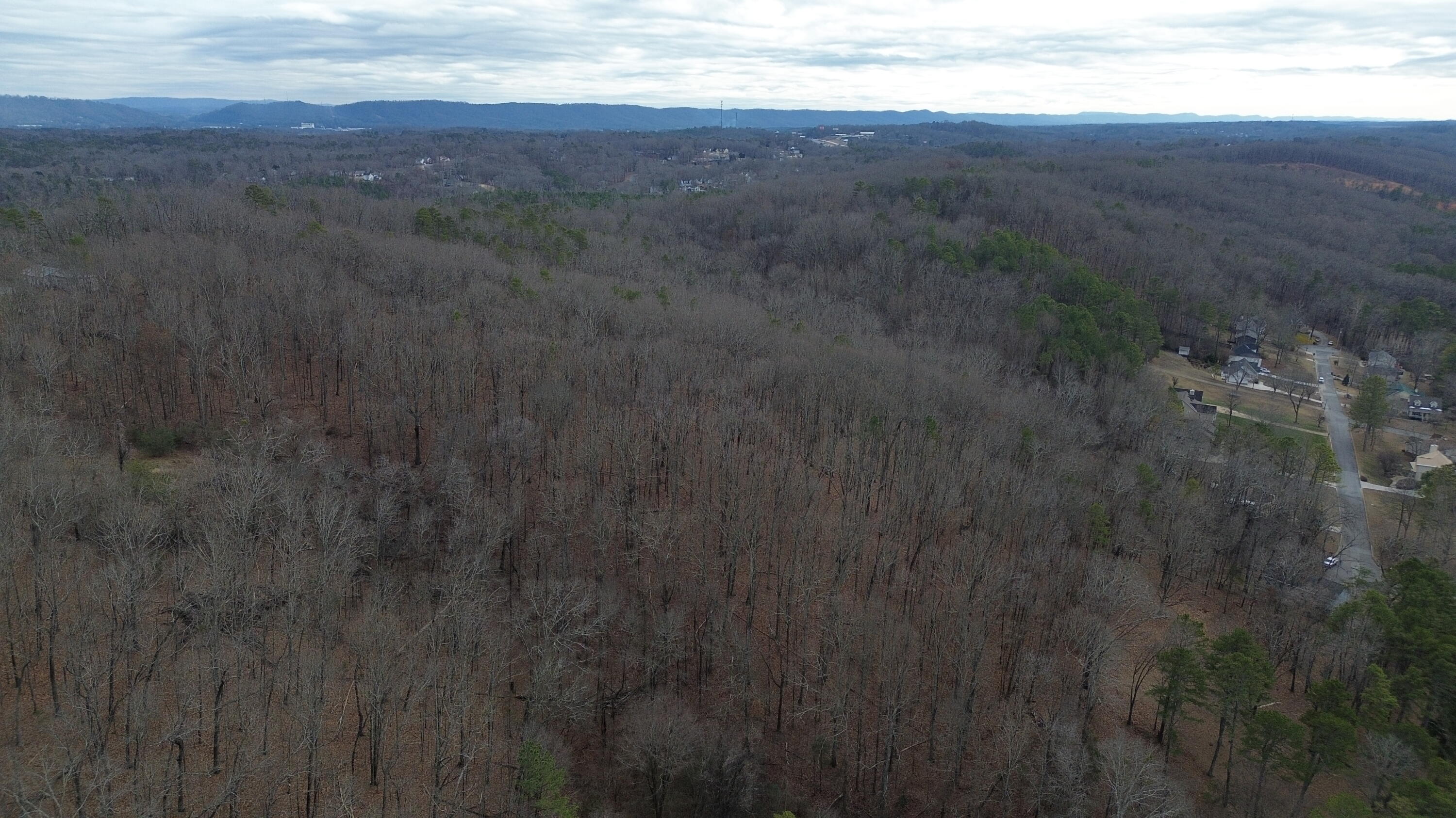 0 Robert Drive Ringgold, GA 30736 - Photo 4 of 11 7579CD3A-551F-4769-9B1D-C57B45E7EC51