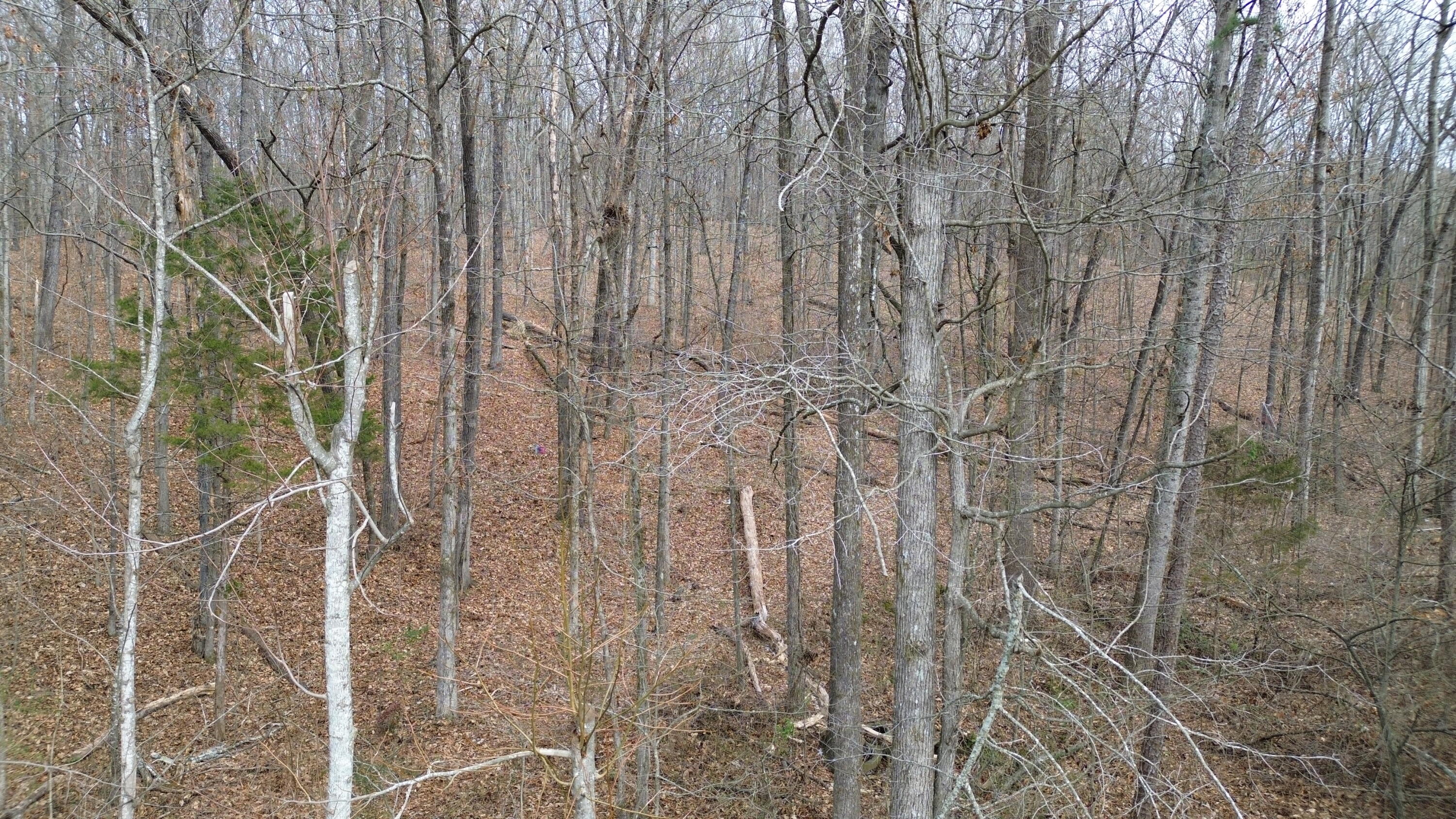 0 Robert Drive Ringgold, GA 30736 - Photo 6 of 11 1BBF6DD2-C65B-4CB9-A54A-0C589B936A33