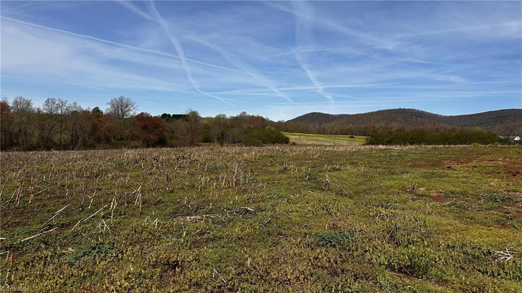 720 Christian Home Church Road Traphill, NC 28685 - Photo 1 of 28 Mostly Farmland