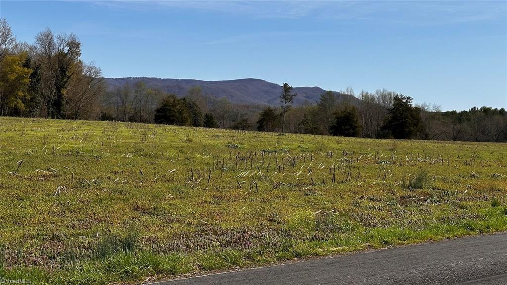 720 Christian Home Church Road Traphill, NC 28685 - Photo 11 of 28 Distant Mountain Views