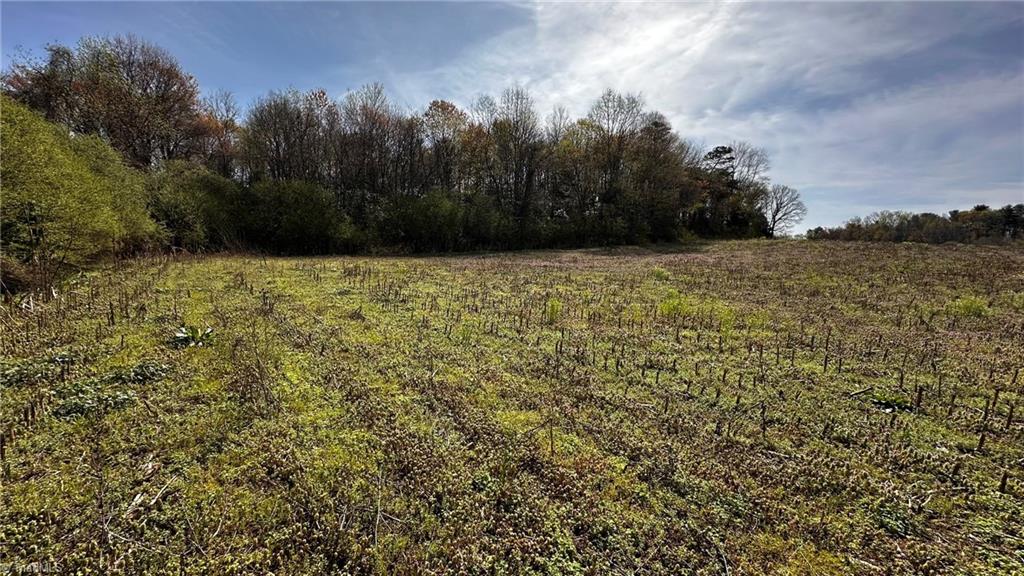 720 Christian Home Church Road Traphill, NC 28685 - Photo 16 of 28 Farming Income Potential