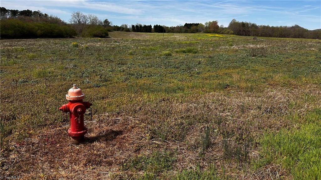 720 Christian Home Church Road Traphill, NC 28685 - Photo 4 of 28 Water Utility Available