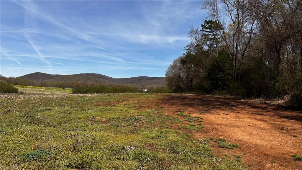 720 Christian Home Church Road Traphill, NC 28685 - Photo 10 of 28 Gallery Image 10
