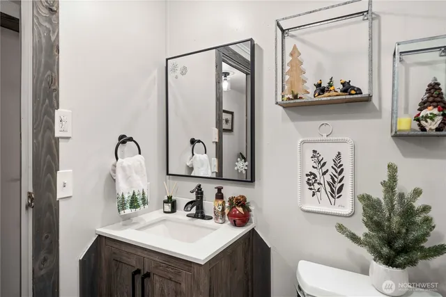 a bathroom with a sink vanity and toilet