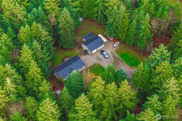 a park view with a entertaining space and large trees