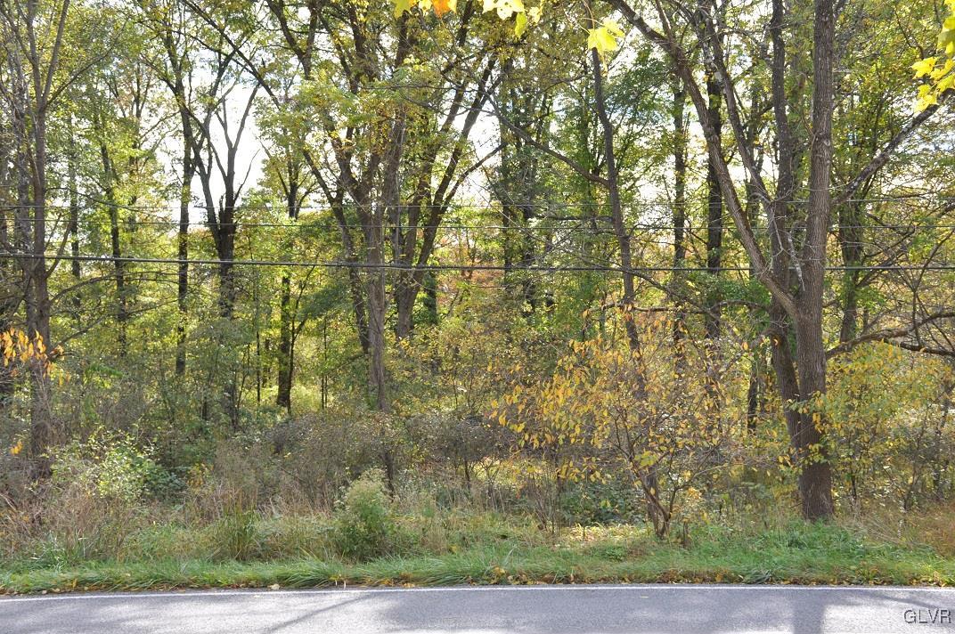 219 Bossardsville Road Sciota, PA 18354 - Photo 33 of 33 Land across road has Lake Creek running through it